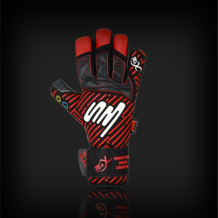 pro-champion-Gk-Glove-009 (1)